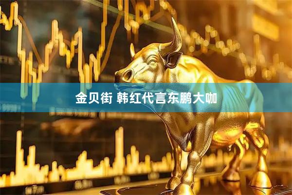 金贝街 韩红代言东鹏大咖