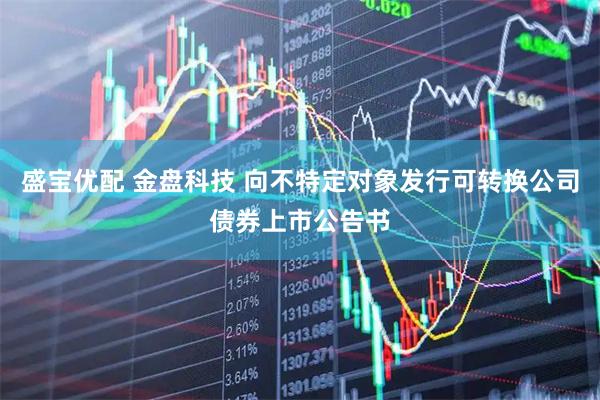 盛宝优配 金盘科技 向不特定对象发行可转换公司债券上市公告书