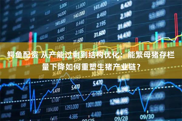 鳄鱼配资 从产能过剩到结构优化：能繁母猪存栏量下降如何重塑生猪产业链？