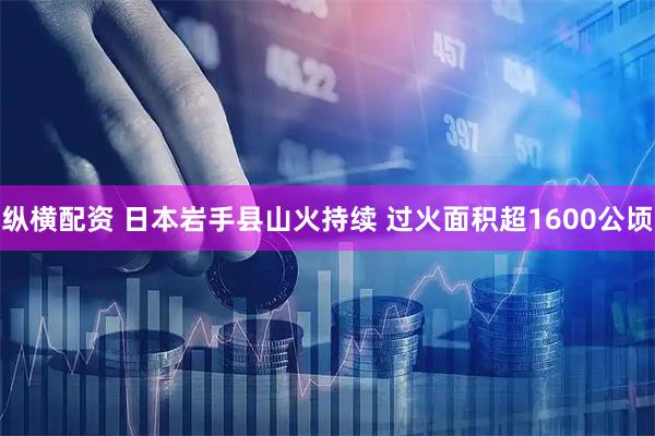 纵横配资 日本岩手县山火持续 过火面积超1600公顷